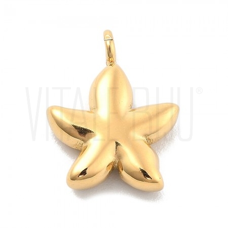 Pendente Estrela do Mar 13x10...
