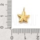  Pendente Estrela do Mar 13x10mm - Aço Inox Dourado