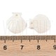 Pendente Concha Vieira Branca Esculpida Frente e Verso 12,5x11,5mm em Concha Natural de Água Doce