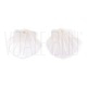 Pendente Concha Vieira Branca 20x21mm em Concha Natural de Água Doce Pendente Concha Vieira Branca 20x21mm em Concha Natural de Água Doce