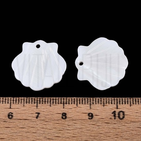 Pendente Concha Vieira Branca 20x21mm em Concha Natural de Água Doce Pendente Concha Vieira Branca 20x21mm em Concha Natural de Água Doce