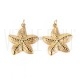 Pendente Estrela-do-Mar Dourado 18,5x17x2,5mm em Aço Inoxidável 304 – Argola 3x0,5mm