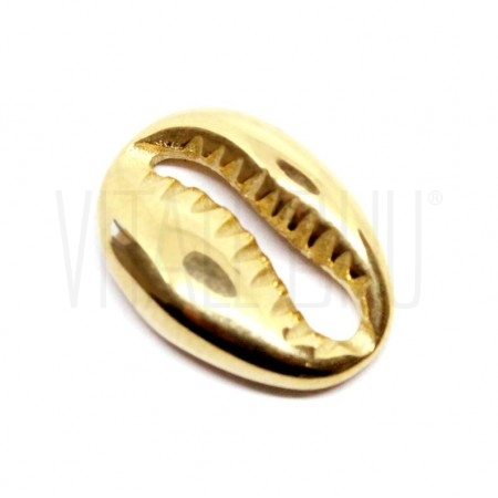 Entremeio Búzio 15.5x11mm - Aço Inox Dourado