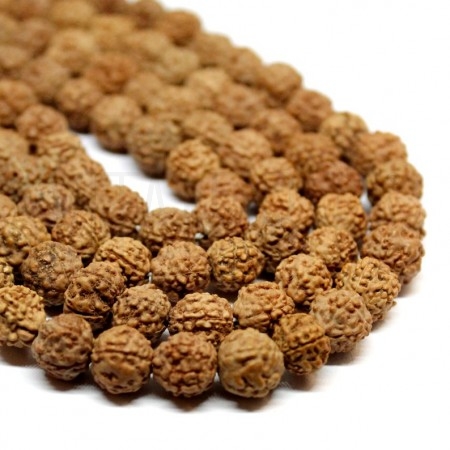  Fiada c/ +/- 108 Sementes de Rudraksha +/- 7 a 8mm 