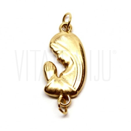 Entremeio Nossa Senhora 23x12m...