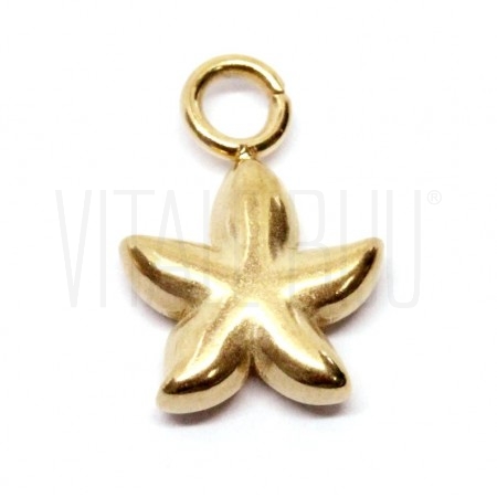 Pendente Estrela do Mar 15x10m...