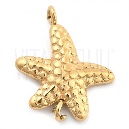 Entremeio Estrela do Mar 17x14...