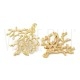 Brinco Nature ( Alga) 45x40mm - Aço Inox Dourado 2
