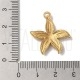 Pendente Estrela do Mar 25x22mm - Aço Inox Dourado