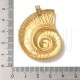 Pendente Concha 44x34mm - Aço Inox Dourado