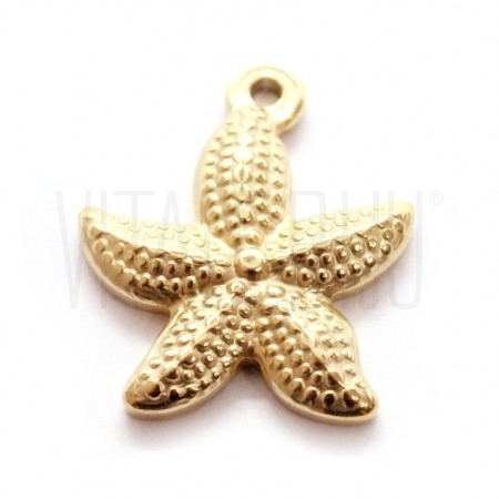 Pendente Estrela do mar 23x19....